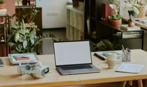 How can placing a small plant on a work desk soften the feel of a very functional space