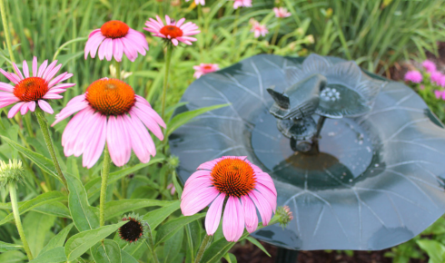 feeder make a small garden