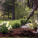 rich layer of high-qualityorganic mulch