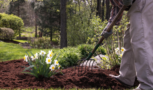rich layer of high-qualityorganic mulch